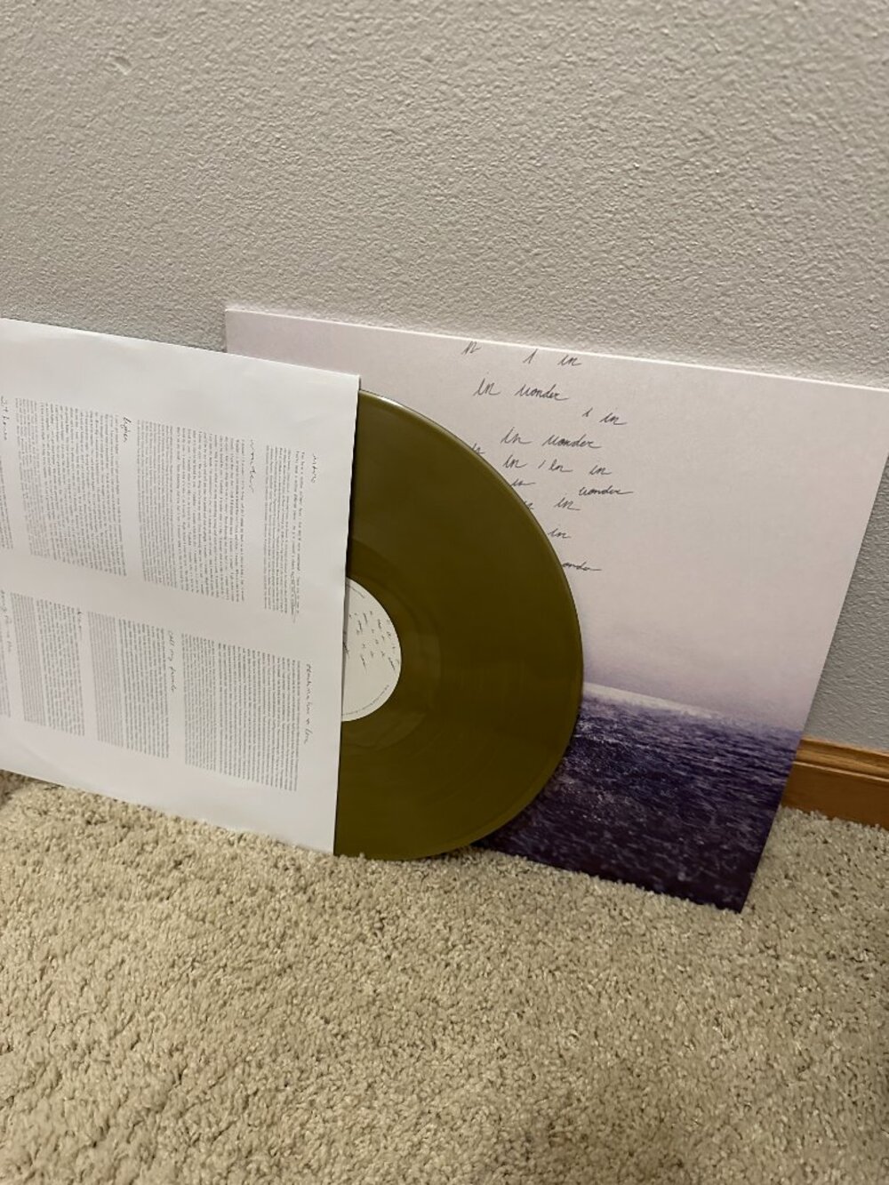Shawn Mendes Wonder Album Vinyl and Poster